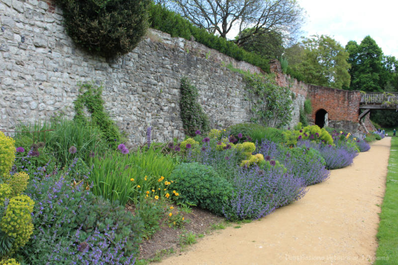 Border of plants with blue and purple flowers along brick wall at Eltham Palace