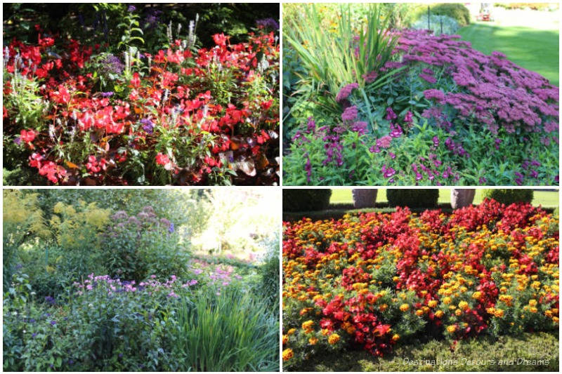 Assorted flower blooms in purple, rec, and yellow at Butchart Gardens