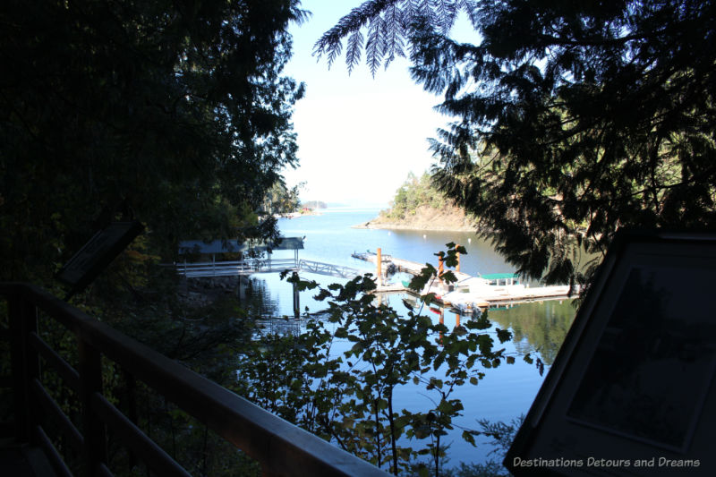 Looking out over Butchart Cove from a deck bordered by trees