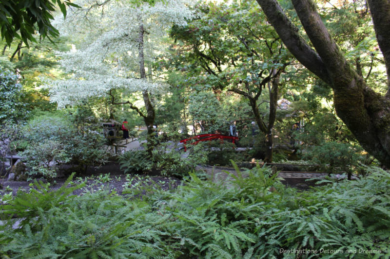 Peaceful greenery and red bridge in the Japanese Garden at Butchart Gardens