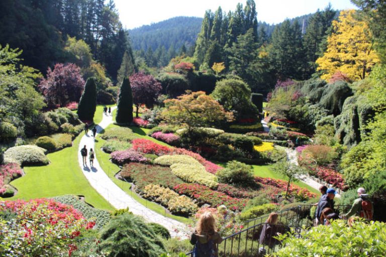 Beautiful Butchart Gardens in British Columbia