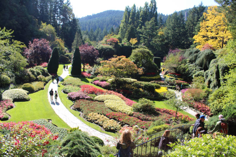 Looking down over the lush and colourful Sunken Garden at The Butchart Gardens