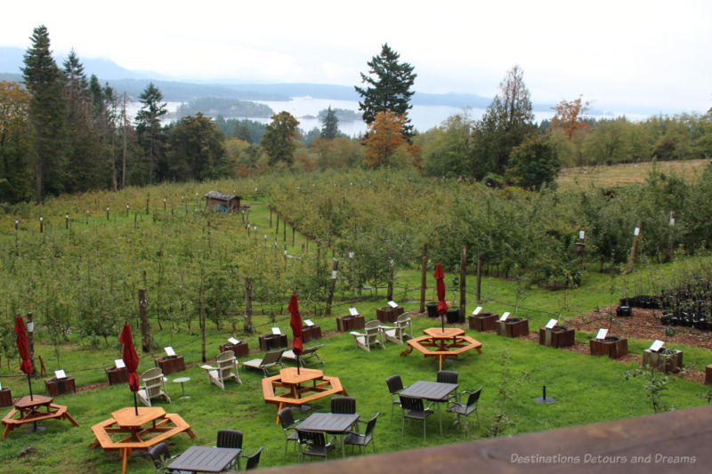 Apple orchard with view of ocean and mountains