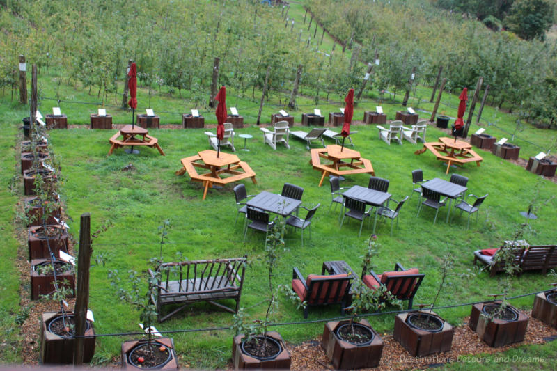 Picnic tables and other seating on a grassy area beside Salt Spring Island Company orchard