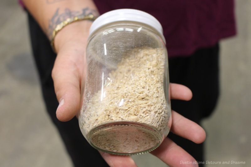 Woman holding jar of milled barley