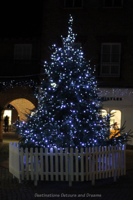 Lit up outdoor Christmas tree