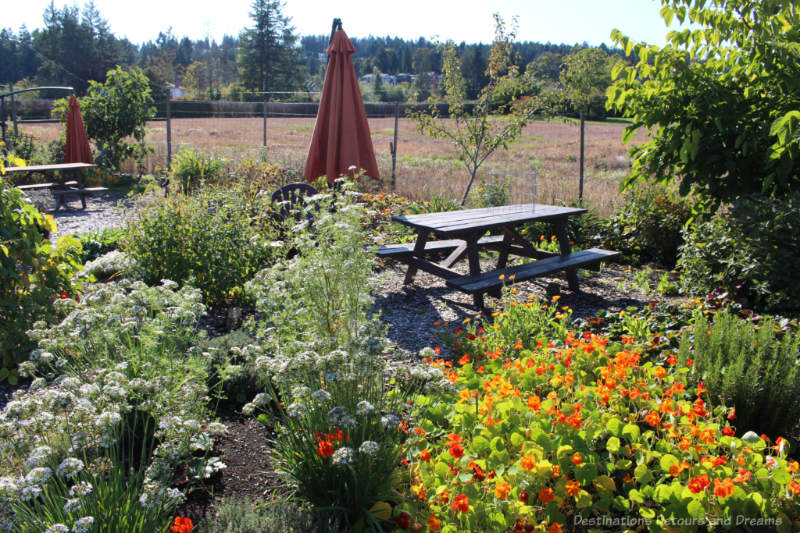 Garden area and field on farm at Roost