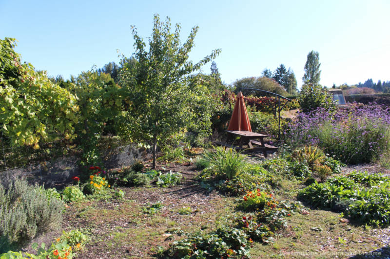 Roost Garden Flower, vegetable and herb garden area with picnic table at The Roost