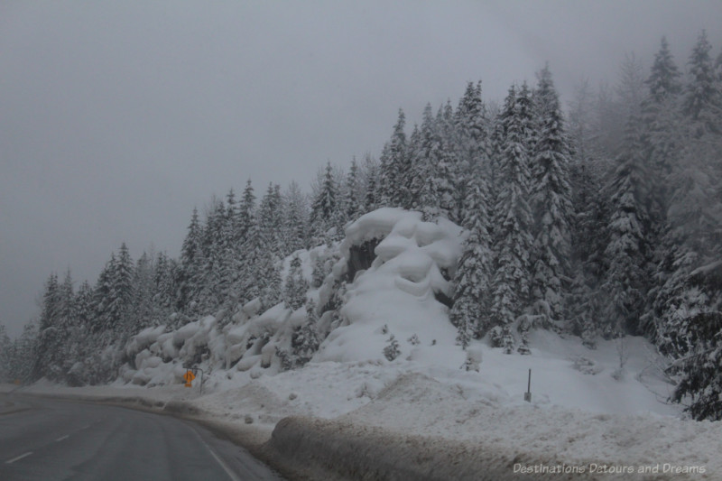Snow on trees in British Columbia mountains