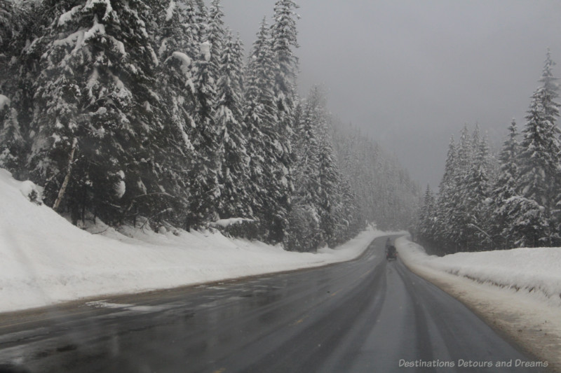 Mountain highway in British Columbia with with snow and snow-covered fir trees on either side and light snow falling