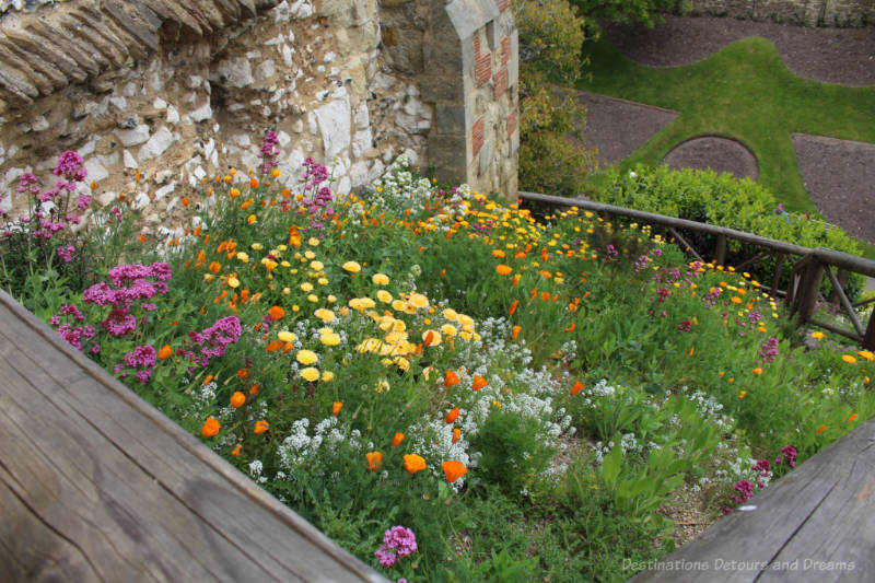 A bed of blooming yellow, orange and purple flowers in Guildford Castle grounds