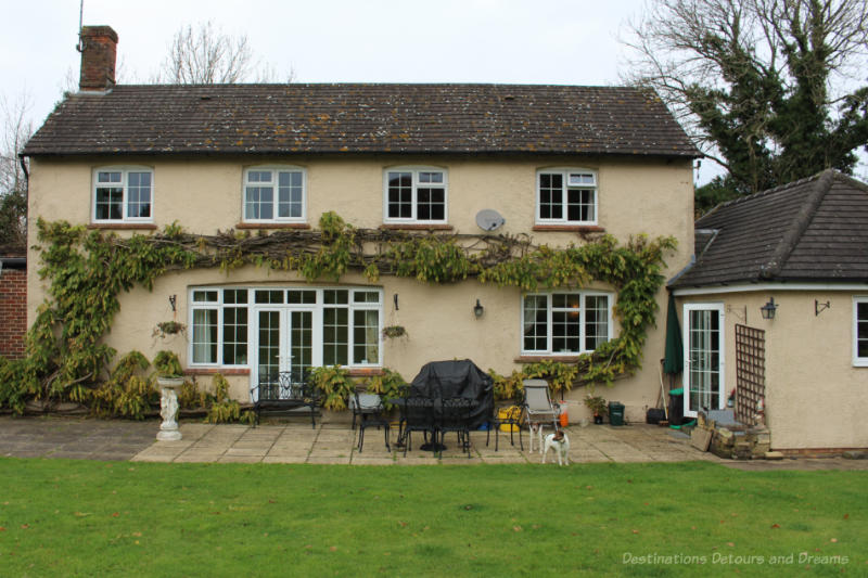 An English country house and patio area in back garden with two dogs