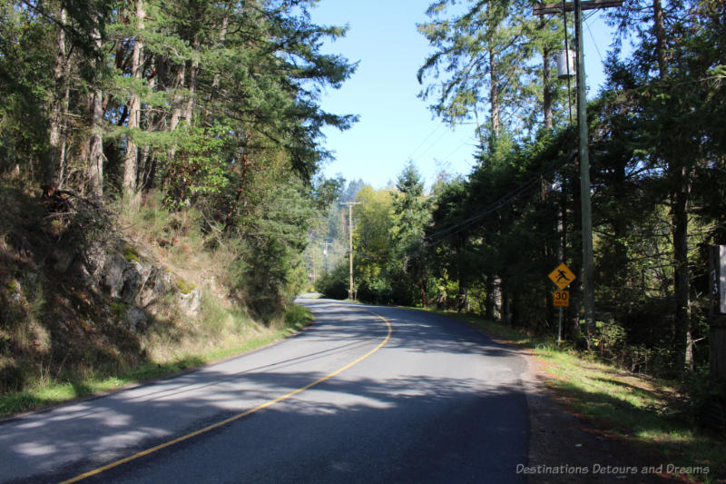 Road curving through forest on Salt Spring Island