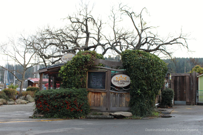 Tree growing out of centre of Tree House Cafe on Salt Spring Island