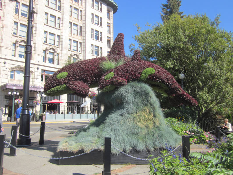 Topiary of a mother and baby orca