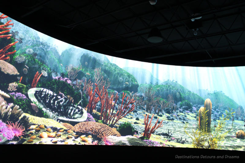 Screen showing recreation of ancient sea life at Manitoba Museum