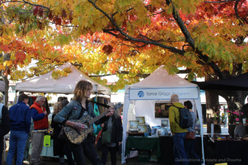 Entertainer at Salt Spring Island Saturday Market