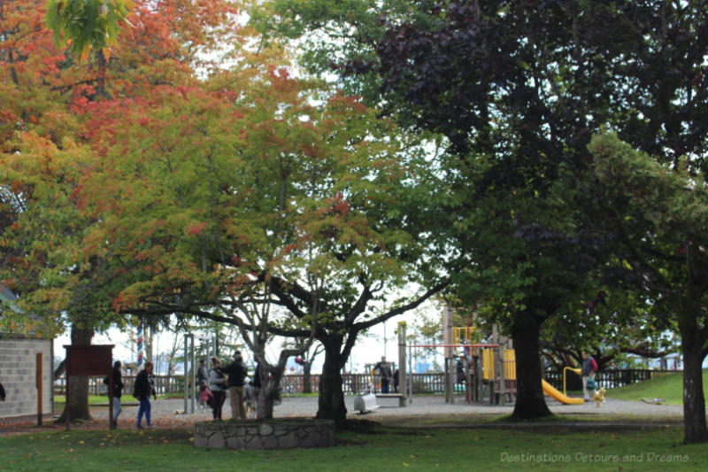 Playground in a Salt Spring Island park