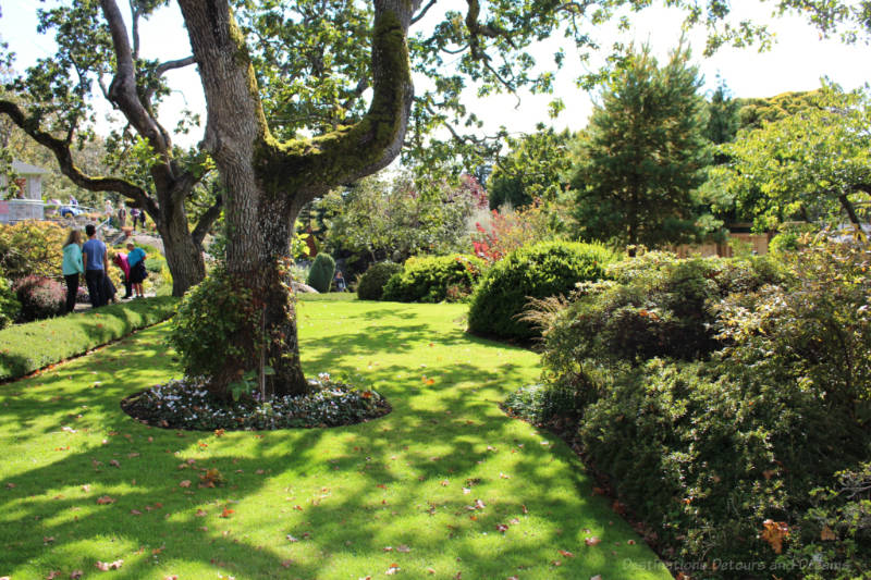 Tourist At Home: Garden Greenery in Abkhazi Garden