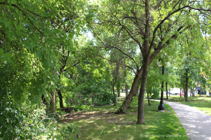 Walking path lined with trees in a city park