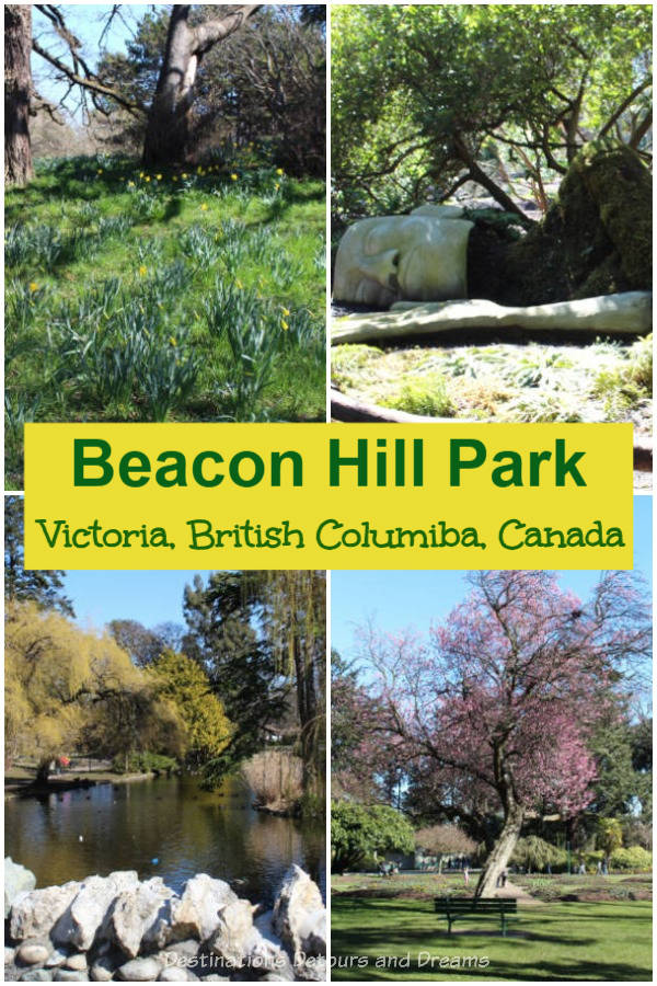 Beacon Hill Park: a 200-acre park in downtown Victoria, British Columbia with trees, paths, ponds, gardens, playgrounds, children's farm #Canada #BritishColumbia #Victoria #park