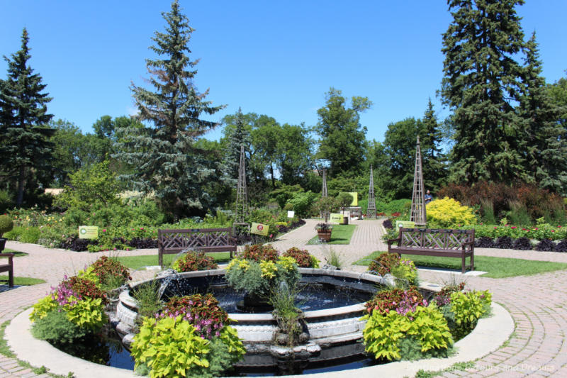 A circular fountain with planting around it and surrounded by stone pathways and benches in the middle of an English style garden