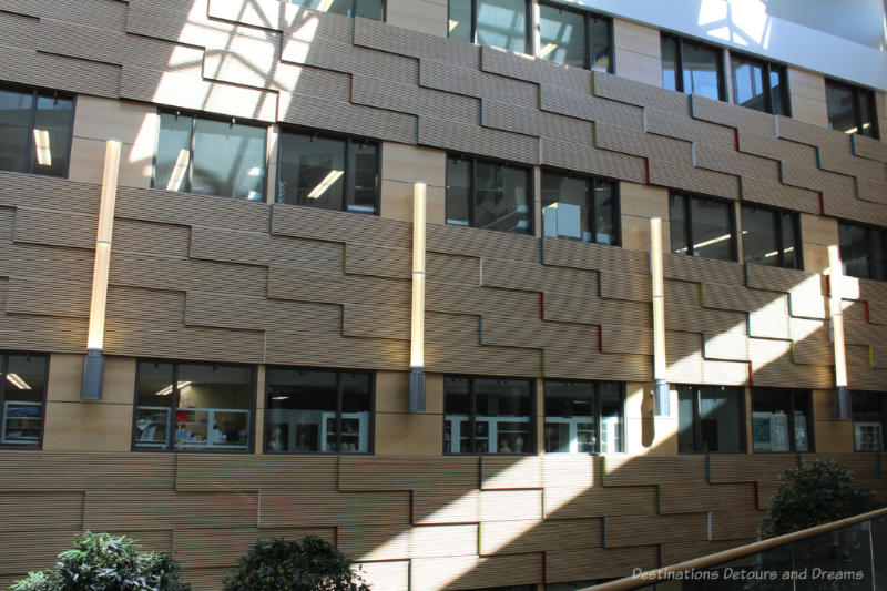 Atrium wall of alternating wood wall made from reclaimed roller rink floors and windows