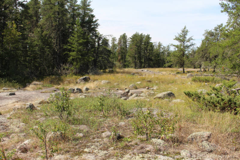 Bedrock trail filled with petroforms