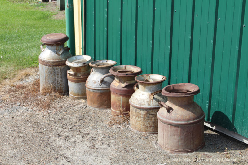 A row of old rusted milk cans