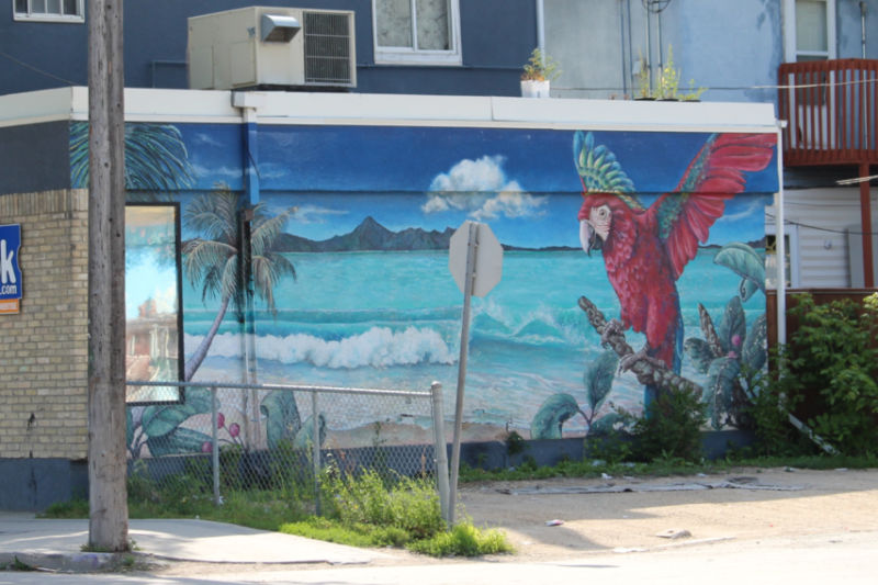 Mural showing blue ocean, sky, mountains, from the shore with a large red parrot on the right hand side