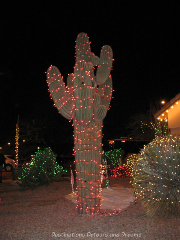 Cactus decorated with red Christmas ligths
