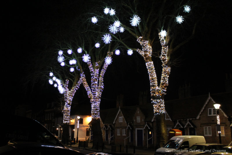 Lights wrapped around the trunks of three trees and snowflake lighted decorations hanging from top branches