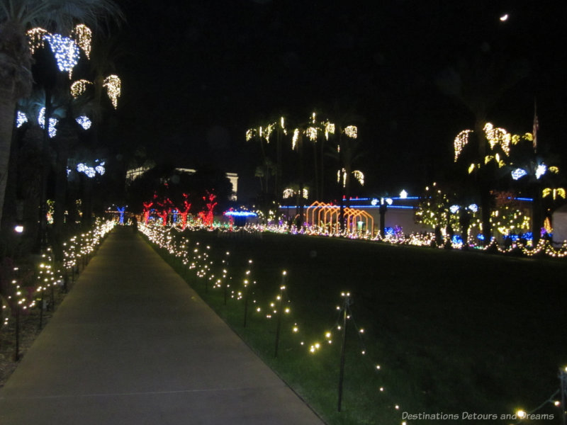 Trees and pathway lit with Christmas lights