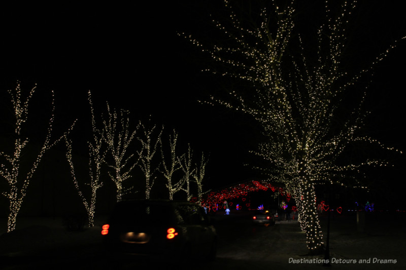 Car's driving through a Chrtistmas light display - trees on either side are covered in white lights; red lighted arbor ahead