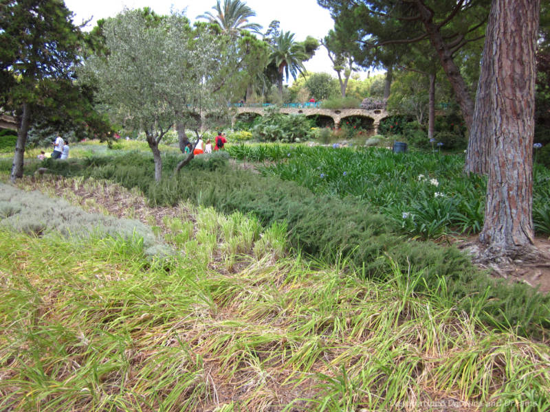 Landscaped area of Park Guell known as Austria Gardens