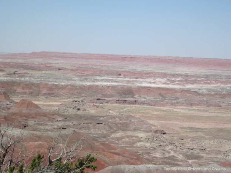 Petrified Forest, Painted Desert