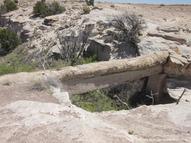 Petrified log forming a bridge