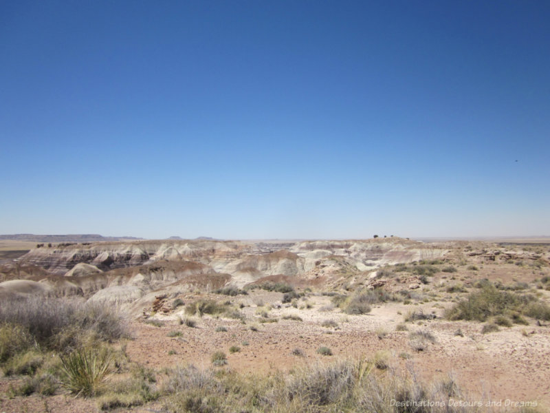 Eerie-looking badlands of Petrified Forest National Park