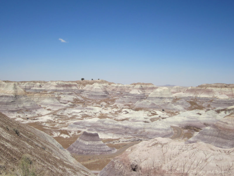 Gray and blueish colours in the rock hills of the Painted Desert