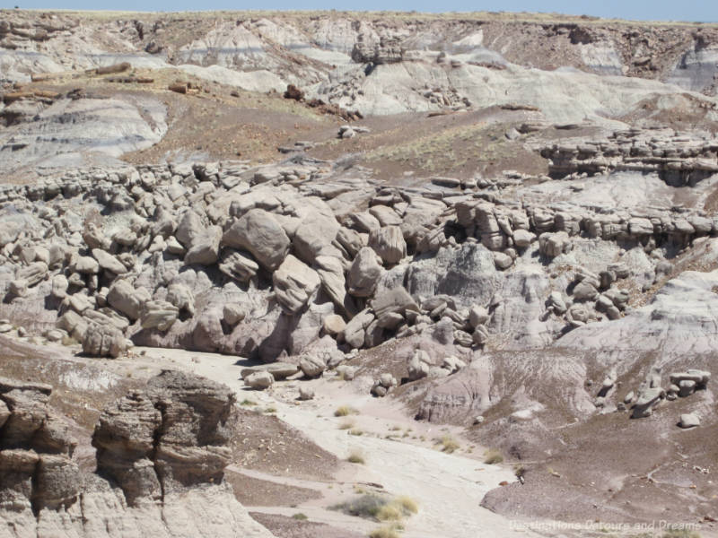 Rocks and hills and petrified wood landscape