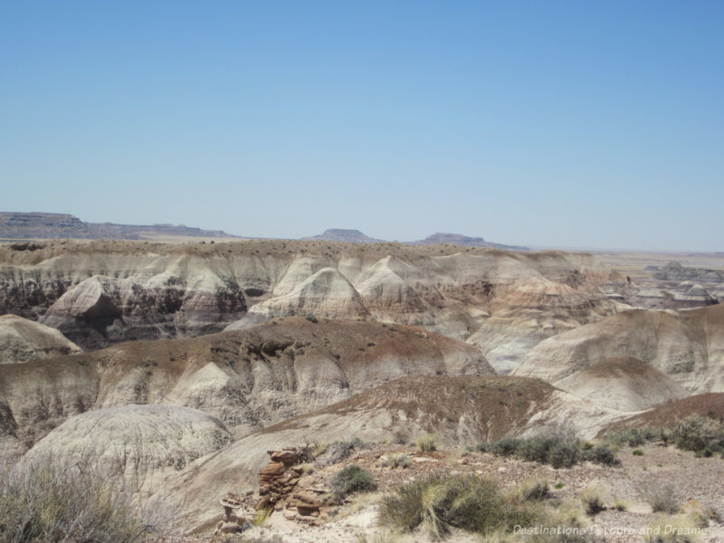 Beige and gray hills caused by years of erosion in Petrified Forest National Park