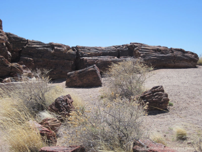 A giant petrified log with smaller logs in front of it at Petrified Forest National Park