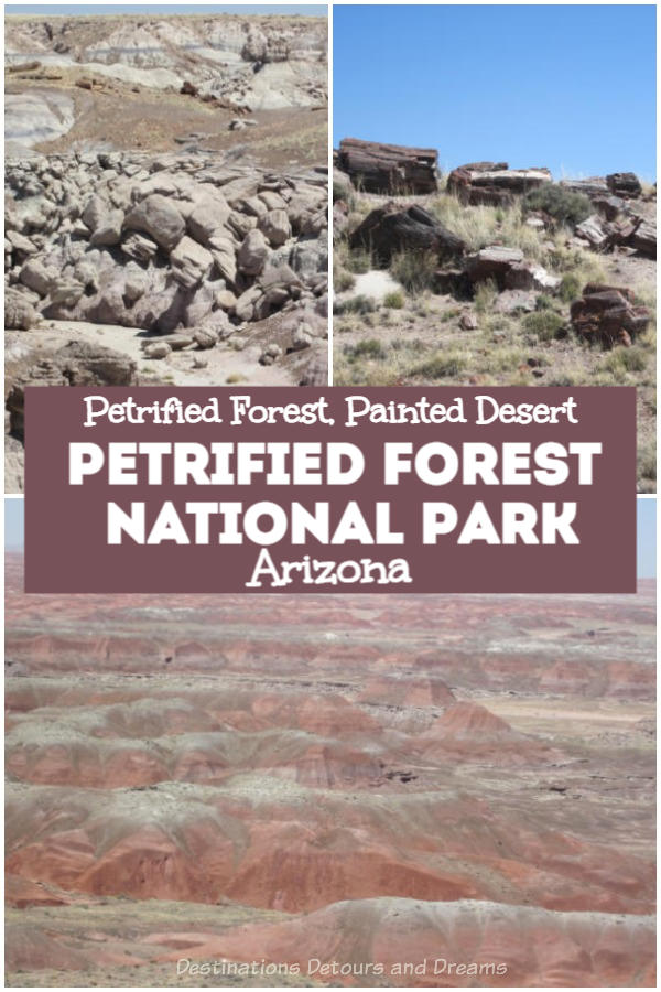 Petrified Forest National Park in the Painted Desert of Arizona contains spectacular and eerie scenery with petrified wood deposits and rocks displaying rainbows of colour