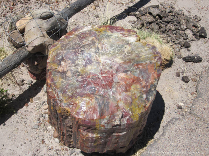 Piece of petrified wood showing coloured crystals in it