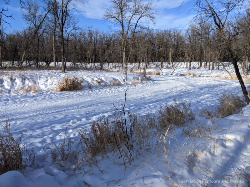 Winter walking trails in St. Vital Park, Henteleff Park, and Seine ...