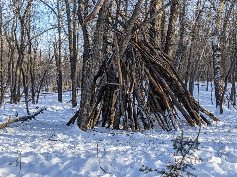 A tepee-like warming shelter made of twigs and logs in a forest