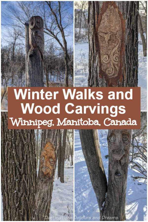 Winter Walks and Wood Carvings in Winnipeg, Manitoba. Seine River Greenway, one of three parks highlighted for winter walking trails in southeast Winnipeg, Manitoba, Canada, contains a collection of wood carvings. St. Vital Park, and Henteleff Park also contain walking trails.