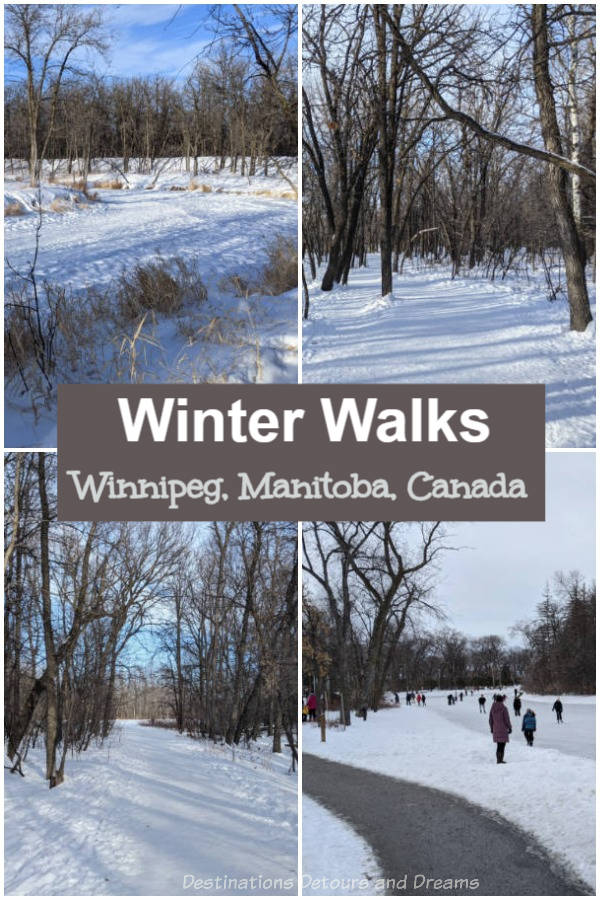 Winnipeg Winter Walks: Winter walking trails in St. Vital Park, Henteleff Park, and Seine River Greenway in Winnipeg, Manitoba, Canada