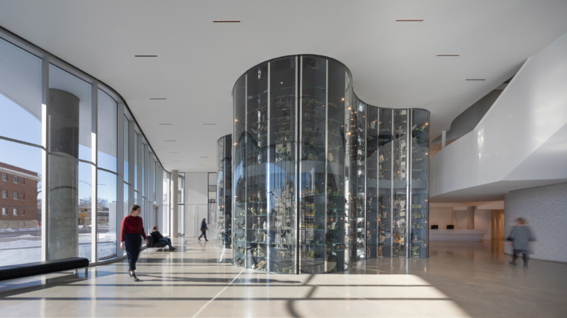 Visible Vault, Qaumajug, the Inuit art Centre at the Winnipeg Art Gallery. Photo by Lindsay Reid 