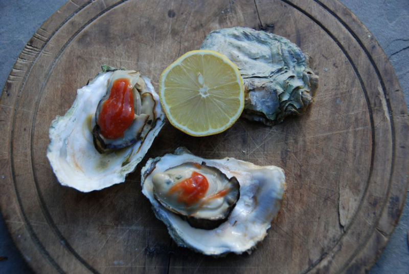 Three oysters on the shell with a half a lemon. Photo courtesy of San Juan Islands Visitors Bureau.